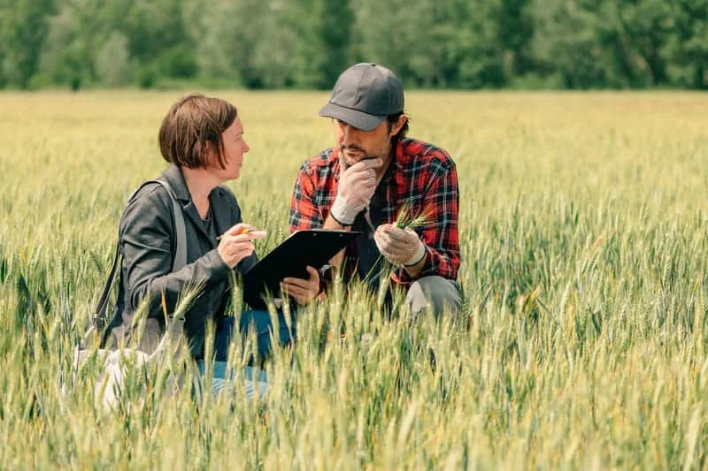 Dos personas conversando en terreno agrícola sobre labores del campo o decisiones relacionadas con maquinaria