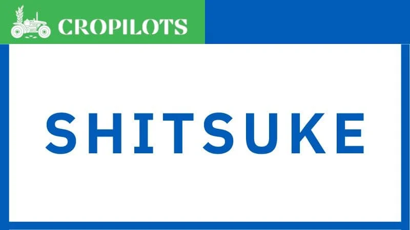 Aplicación del principio Shitsuke en Cropilots, promoviendo la disciplina y el compromiso continuo en planta