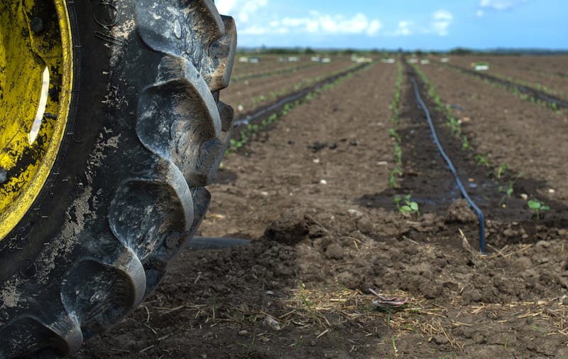 Huellas de llantas de tractor marcadas en campo agrícola recién trabajado