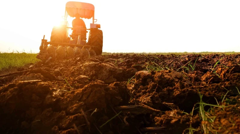 Tractor agrícola operando bajo el sol en campo abierto durante labores de preparación o cultivo
