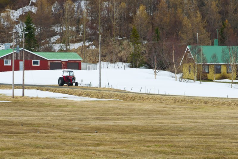 Tractor transportando alimento y agua para el ganado durante el invierno en una zona rural con nieve