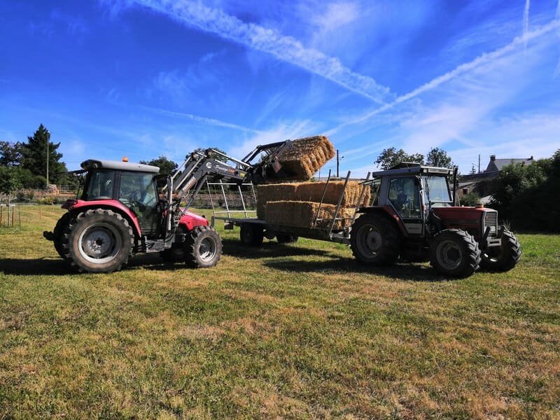 Tractor agrícola transportando pacas de heno en un campo durante la cosecha en Latinoamérica.