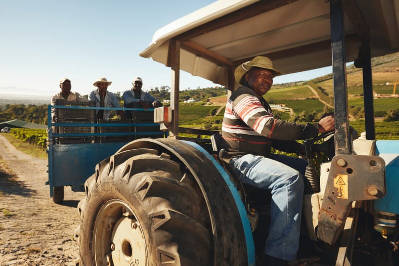 Agricultor latinoamericano conduciendo tractor en campo agrícola al atardecer, maquinaria agrícola moderna.